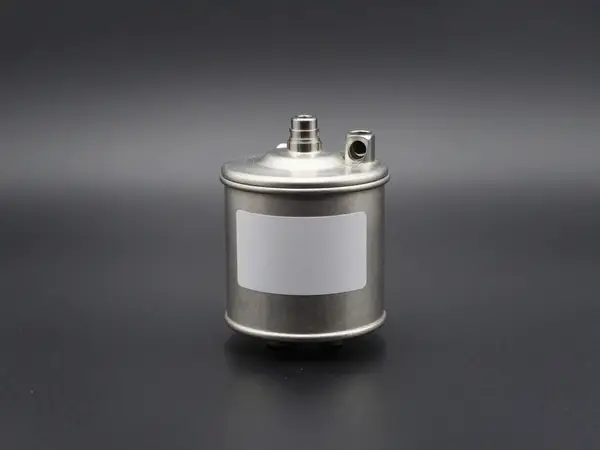 Filtru combustibil benzină inline