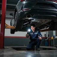 Revizii și întreținere